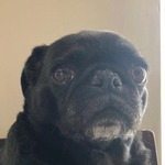 Bugha profile picture