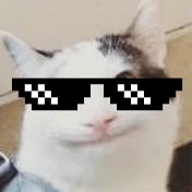 Beluga profile picture