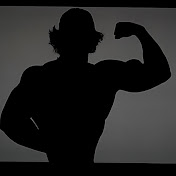 Sam Sulek profile picture