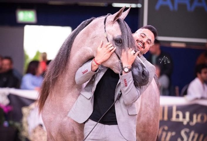 Mohamad AL-Sheikh’s meteoric rise in the Arabian horse breeding world